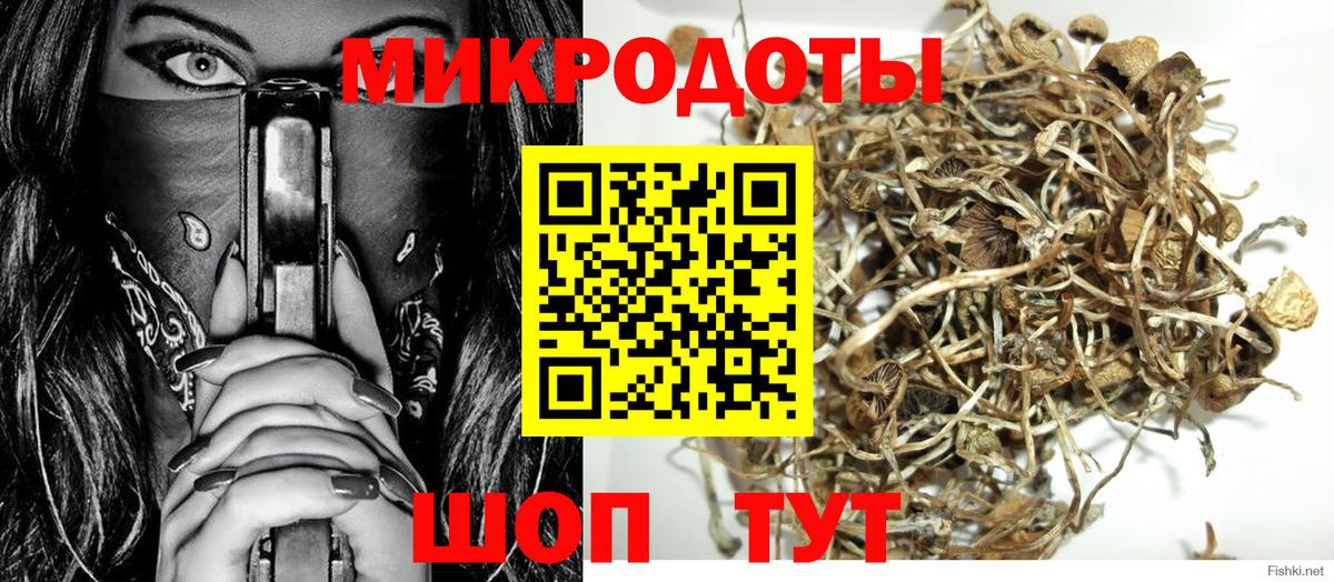 Псилоцибиновые грибы Psilocybe  Вход с VPN  Южно-Сахалинск 